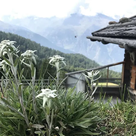 Apartamento Pracondu 1 203 - Outdoor & Fun 6 Pers