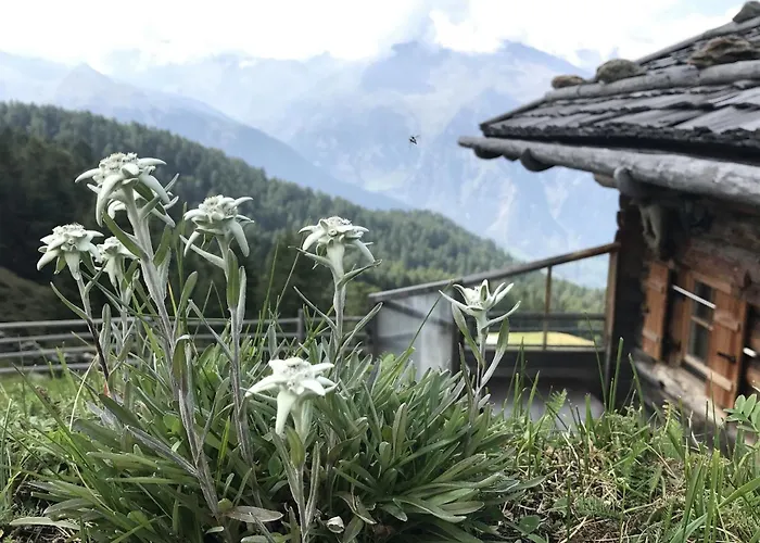 Διαμέρισμα Pracondu 1 203 - Outdoor & Fun 6 Pers